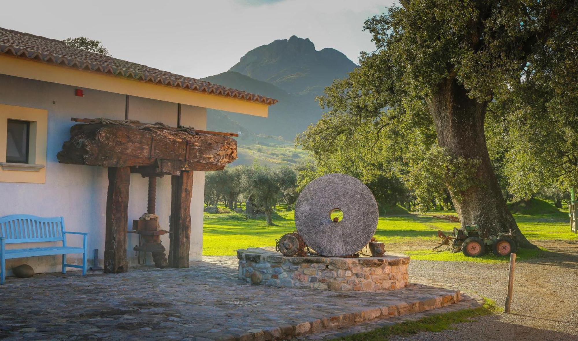 Barone Gr Macri Agriturismo Modi Gerace Exterior foto